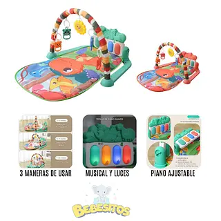 Ref. 668-17 Gimnasio Piano