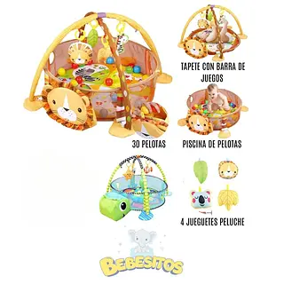 Ref. 668-31 Gimnasio De Pelotas