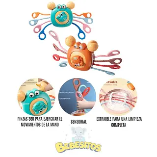 Ref. Rt1503 Cangrejo Sensorial