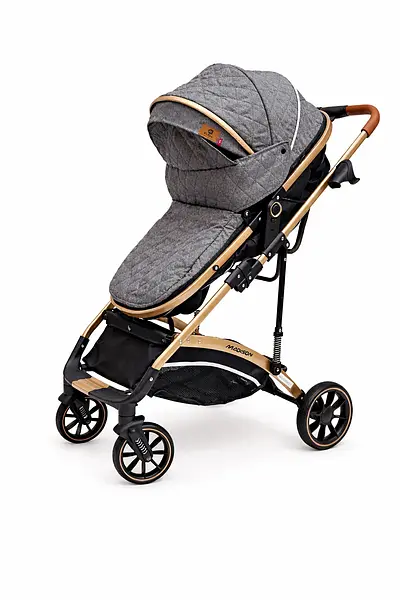 Coche Moises Madisson Maxibaby