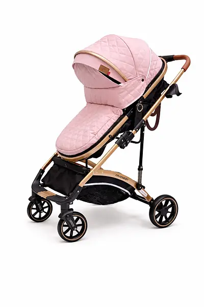 Coche Moises Madisson Maxibaby