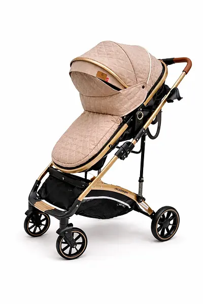 Coche Moises Madisson Maxibaby