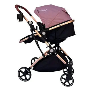 Coche Moises Small Maxibaby