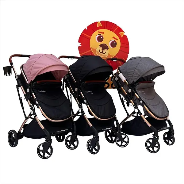 Coche Moises Small Maxibaby