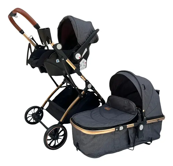 Coche Moises Small Maxibaby + Portabebé