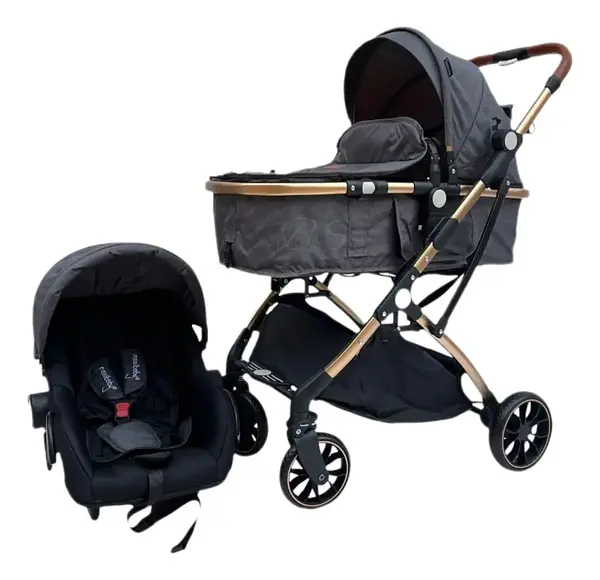 Coche Moises Small Maxibaby + Portabebé