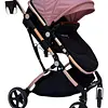 Coche Moises Small Maxibaby + Portabebé
