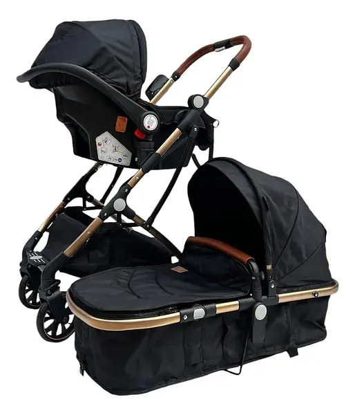 Coche Moises Small Maxibaby + Portabebé
