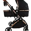 Coche Moises Small Maxibaby + Portabebé