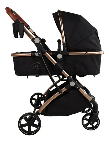 Coche Moises Small Maxibaby + Portabebé