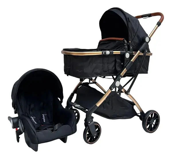 Coche Moises Small Maxibaby + Portabebé